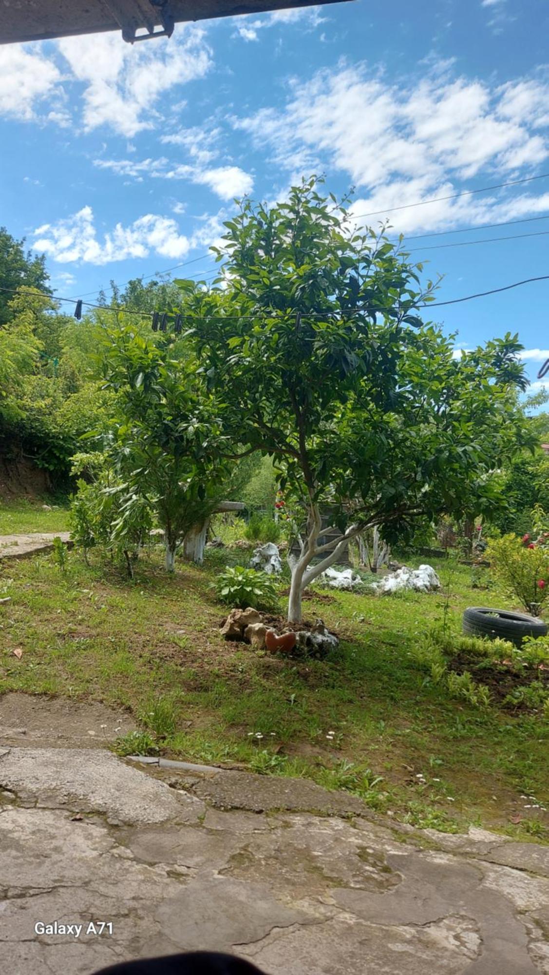 Mero House คูทายสิ ภายนอก รูปภาพ